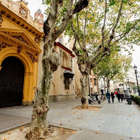 Plaza De La Magdalena I, Centro Historico